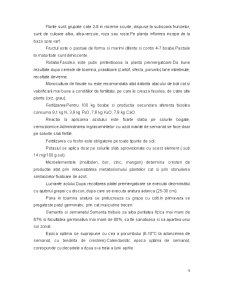 Agroecosistemul Fasolei - Pagina 5