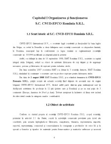 Organizarea și funcționarea SC Cnud-Efco România SRL - Pagina 1