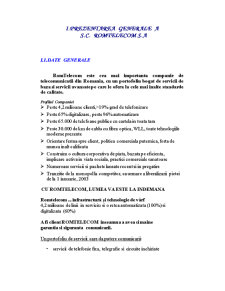 Prezentarea generală a SC Romtelecom SA Pitești - Pagina 1