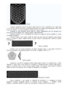 Nanomateriale - Pagina 4