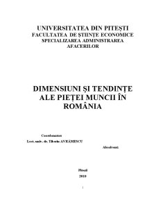 Dimensiuni ale pieței muncii în România - Pagina 1
