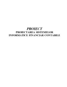 Raport de Audit pentru Sistemul Informatic Winmentor la SC AMICI SA - Pagina 1