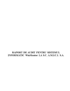Raport de Audit pentru Sistemul Informatic Winmentor la SC AMICI SA - Pagina 2