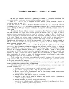Raport de Audit pentru Sistemul Informatic Winmentor la SC AMICI SA - Pagina 3