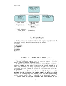 Studiu de Caz privind Analiza Echilibrului Bugetar în România 2010 - Pagina 3