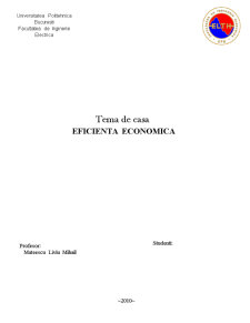 Eficiența economică - Pagina 1