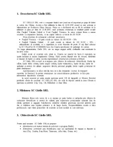 Analiza Diagnostic a Mediului de Afaceri al Gielle SRL - Pagina 1