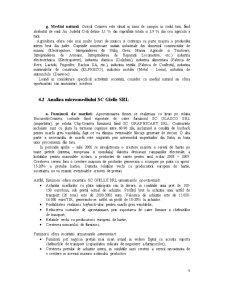 Analiza Diagnostic a Mediului de Afaceri al Gielle SRL - Pagina 5