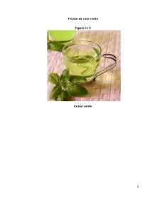 Merceologia Produselor Agroalimentare - Ceaiul Verde și Negru - Pagina 5