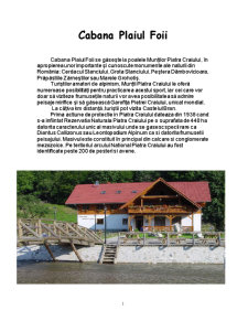 Cabana Plaiul Foii - Pagina 2