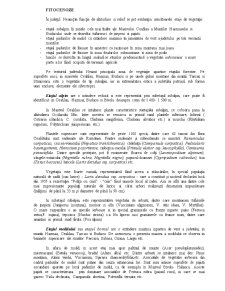 Fitocenoze - județul Neamț - Pagina 1
