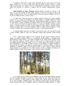 Fitocenoze - județul Neamț - Pagina 2