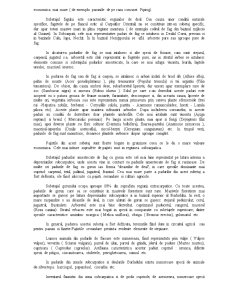 Fitocenoze - județul Neamț - Pagina 3