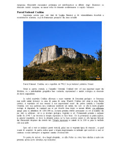 Rezervații județul Neamț - Pagina 2