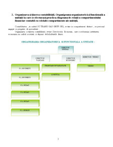 Contabilitate și informatică de gestiune - caiet de practică - societatea Transgas Grup SRL - Pagina 3