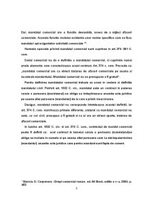 Contractul Comercial de Mandat - Pagina 3