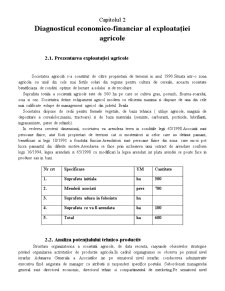 Elaborarea programului de producție într-o exploatație agricolă - Pagina 5