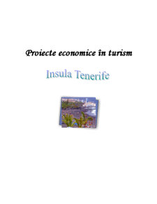 Proiecte economice în turism - Insula Tenerife - Pagina 1