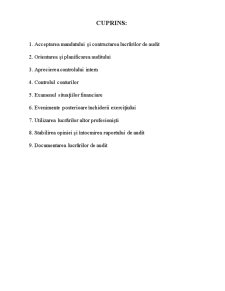 Misiune de Audit de Bază Asupra Situațiilor Financiare Anuale ale SC Silvana SA Targu Mures Aferente Exercițiului Financiar 2008 - Pagina 2