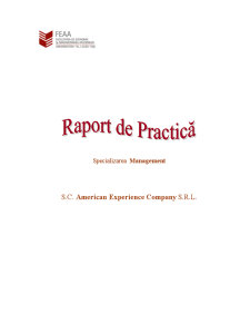 Practică la SC American Experience Company SRL - Pagina 1