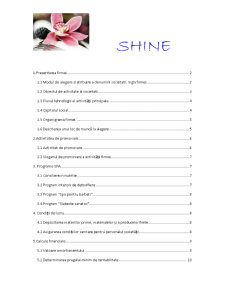 SC Shine SRL - Pagina 1