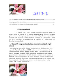 SC Shine SRL - Pagina 2