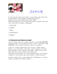 SC Shine SRL - Pagina 3