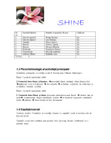 SC Shine SRL - Pagina 4