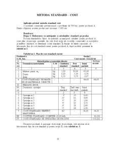Metoda standard cost - Pagina 1