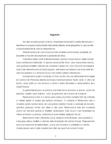 Potențialul turistic al Județului Maramureș - Pagina 3