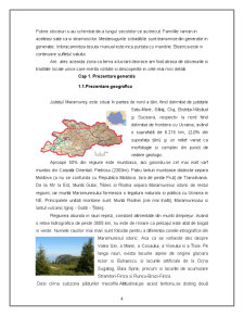 Potențialul turistic al Județului Maramureș - Pagina 4