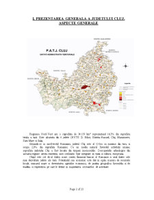 Poziția județului Cluj-Napoca în cadrul regiunii de nord-vest - Pagina 2