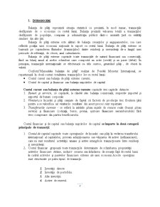 Analiza balanței de plăți a României în perioada 1990-2008 - Pagina 3