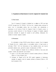 Proiect practică CAS Iași - Pagina 3