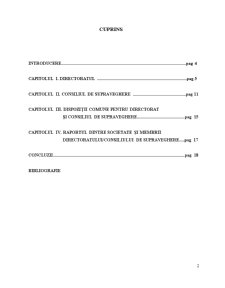 Atribuțiile Directoratului - Pagina 2