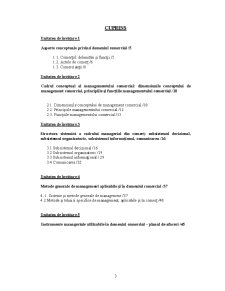 Management Comercial - Pagina 3