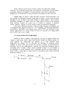 Procese de extracție a principiilor active aromatizate odorifere - Pagina 4