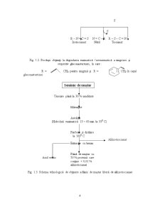 Procese de extracție a principiilor active aromatizate odorifere - Pagina 5