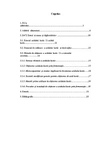 Esterii Acidului Lactic cu Mono, Digliceride - Pagina 1
