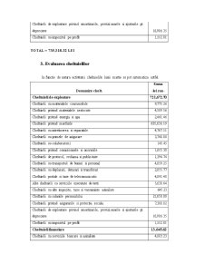 Analiza costurilor la întreprinderea SC Master SRL - Pagina 5