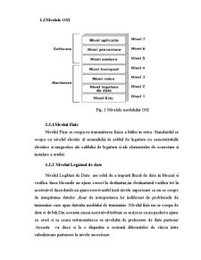 Nivelele Modelului OSI - Pagina 2