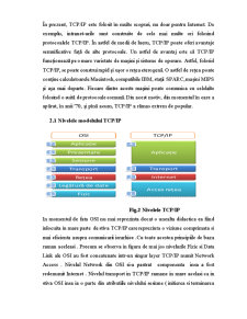 Nivelele Modelului OSI - Pagina 5