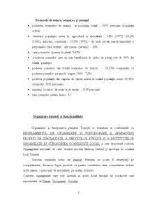 Organizarea și Funcționarea Primăriei Comunei Tomești - Pagina 3