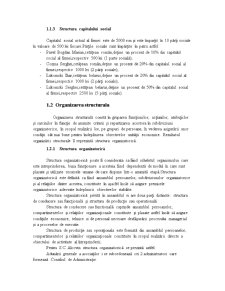 Plan de Afaceri ALCOVIN SRL Tulcea - Pagina 2
