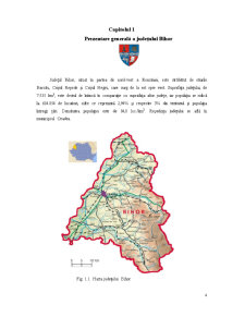 Comuna Sînmartin Județul Bihor - Pagina 4
