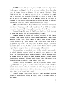 Comuna Sînmartin Județul Bihor - Pagina 5