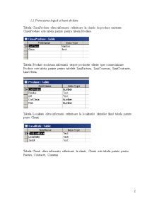 Proiectarea sistemelor informaționale - Pagina 2