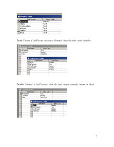 Proiectarea sistemelor informaționale - Pagina 3