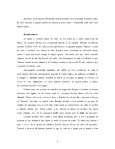Studiul Merceologic asupra Cafelei - Pagina 2