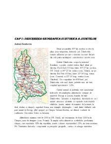 Determinarea decalajelor regionale dintre Dâmbovița și Bacău - Pagina 3